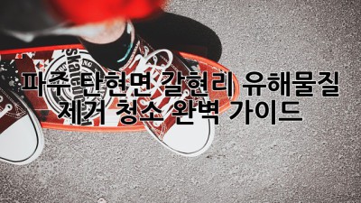 파주 탄현면 갈현리 유해물질 제거 청소 완벽 가이드