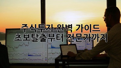 주식투자 완벽 가이드 🚀 초보탈출부터 전문가까지!